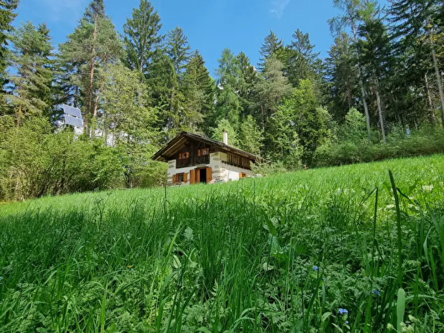 Immagine 78 di Casa indipendente in vendita  a Romeno
