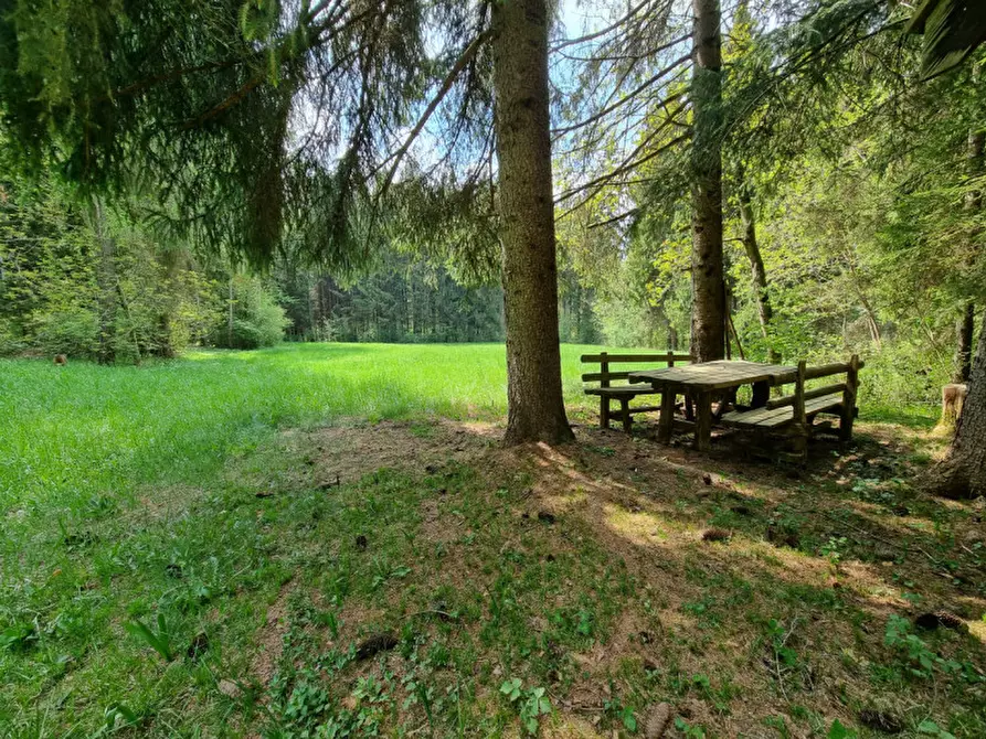 Immagine 81 di Casa indipendente in vendita  a Romeno