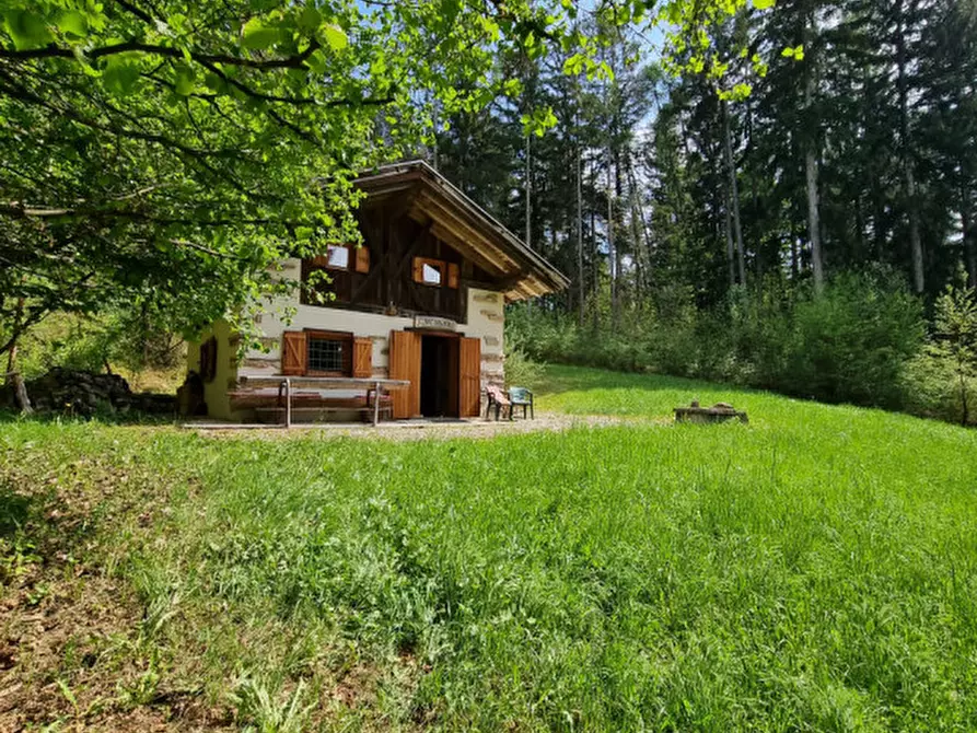 Immagine 82 di Casa indipendente in vendita  a Romeno