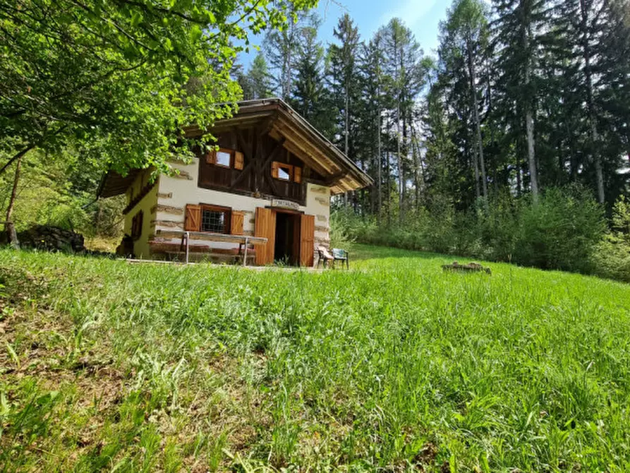 Immagine 83 di Casa indipendente in vendita  a Romeno