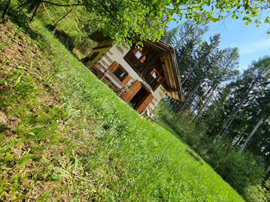 Immagine 84 di Casa indipendente in vendita  a Romeno