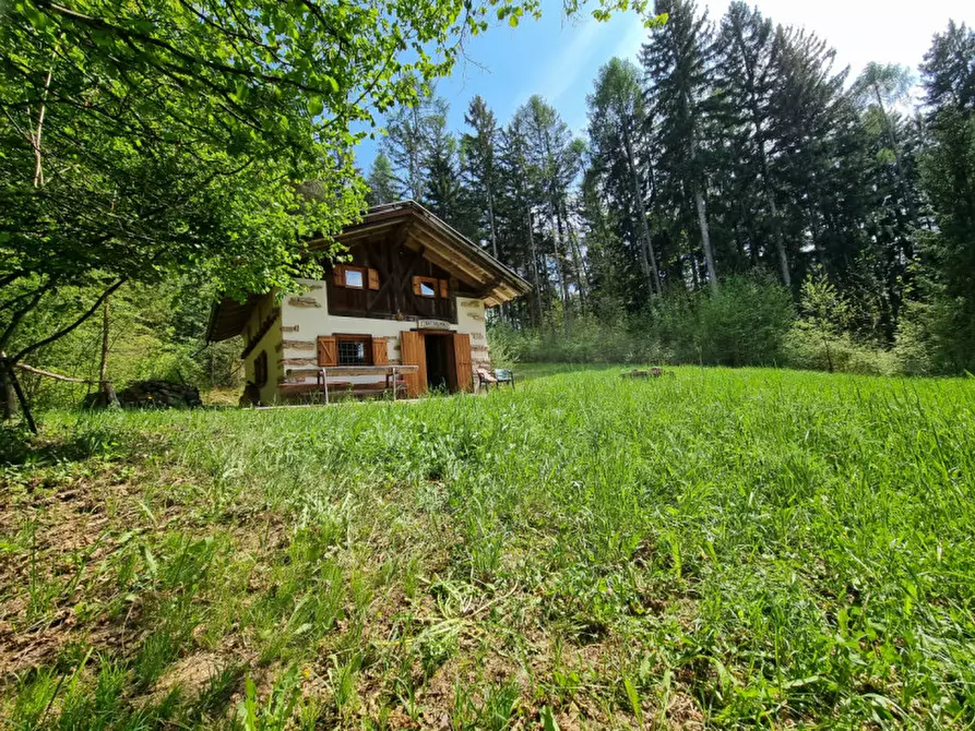 Immagine 85 di Casa indipendente in vendita  a Romeno