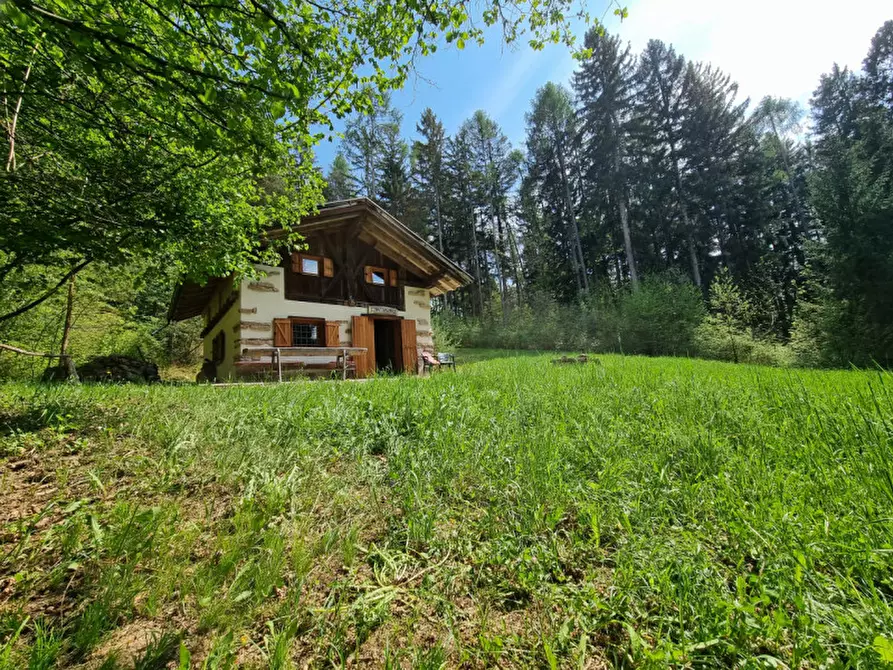 Immagine 86 di Casa indipendente in vendita  a Romeno