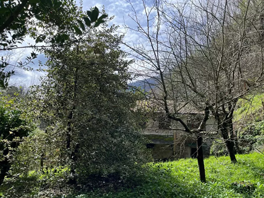 Immagine 5 di Casa indipendente in vendita  in Via Roma, 20 a Pescaglia