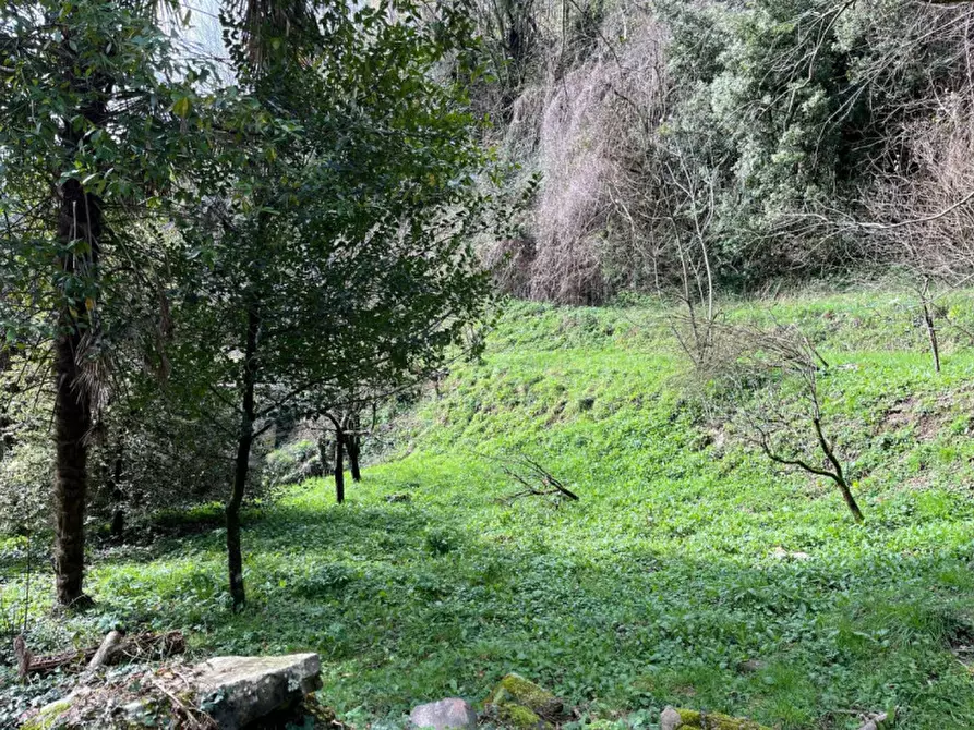 Immagine 6 di Casa indipendente in vendita  in Via Roma, 20 a Pescaglia