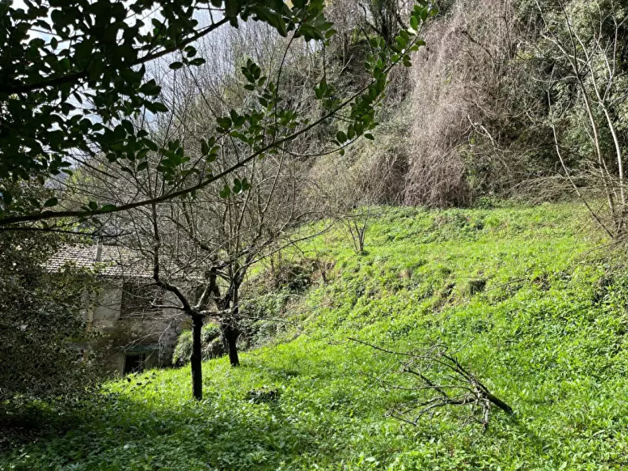 Immagine 7 di Casa indipendente in vendita  in Via Roma, 20 a Pescaglia