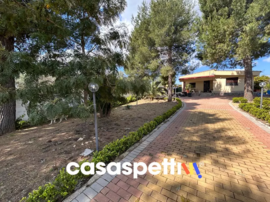 Immagine 34 di Casa indipendente in vendita  in Strada San Giovanni snc a Sava