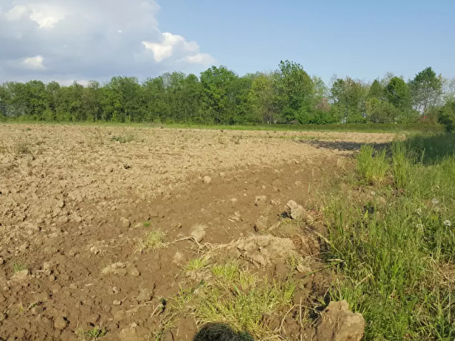 Immagine 1 di Terreno in vendita  a Mogliano Veneto