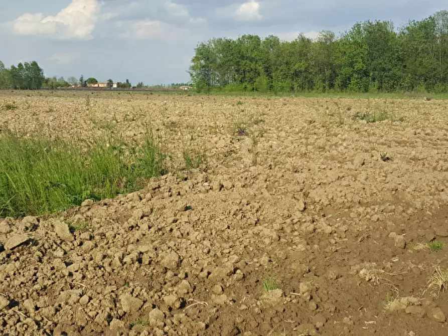 Immagine 2 di Terreno in vendita  a Mogliano Veneto