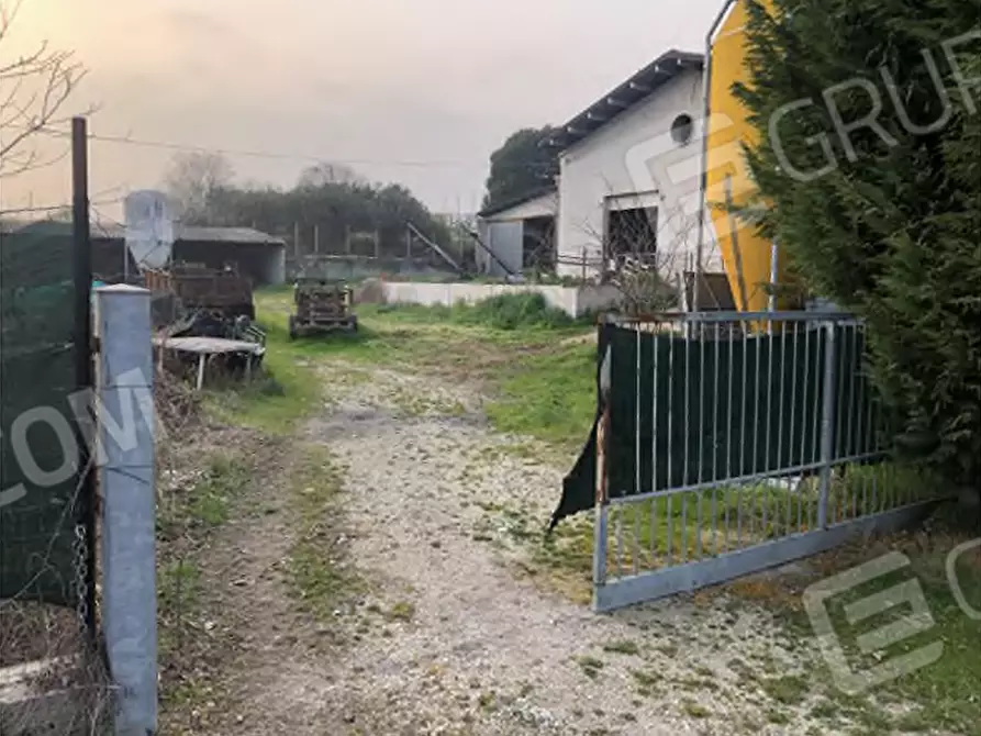 Immagine 2 di Agriturismo in vendita  in Via Barbarago 9 a Sona