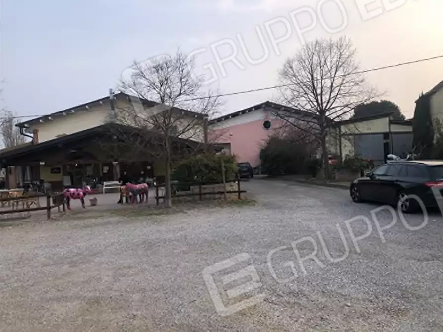Immagine 5 di Agriturismo in vendita  in Via Barbarago 9 a Sona