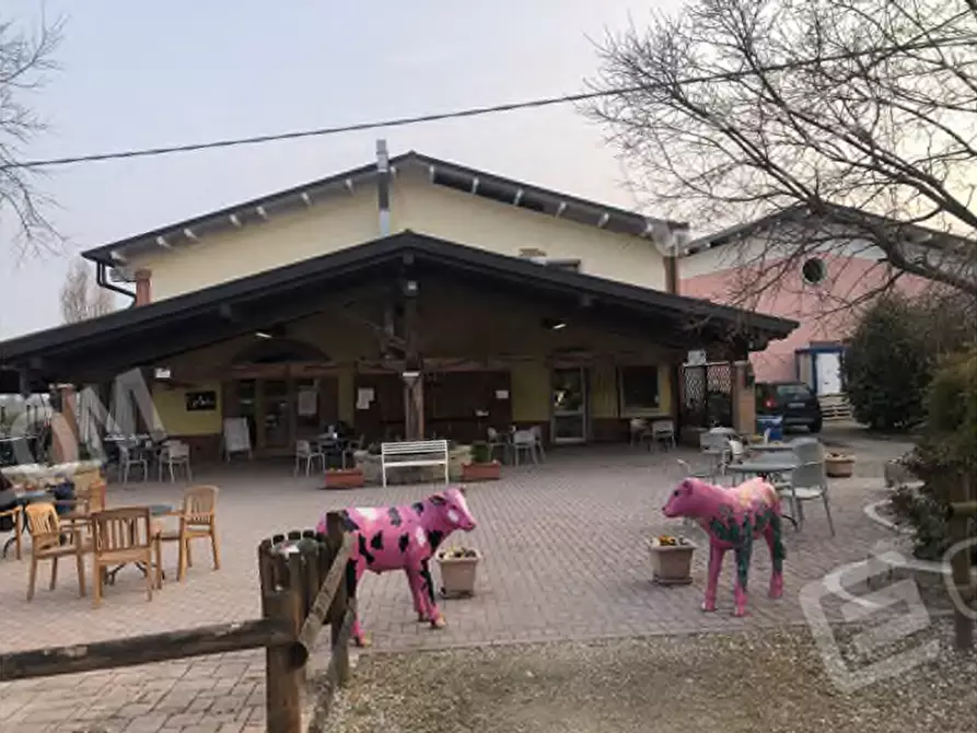 Immagine 17 di Agriturismo in vendita  in Via Barbarago 9 a Sona