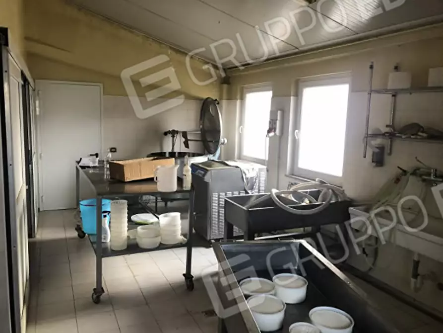 Immagine 28 di Agriturismo in vendita  in Via Barbarago 9 a Sona