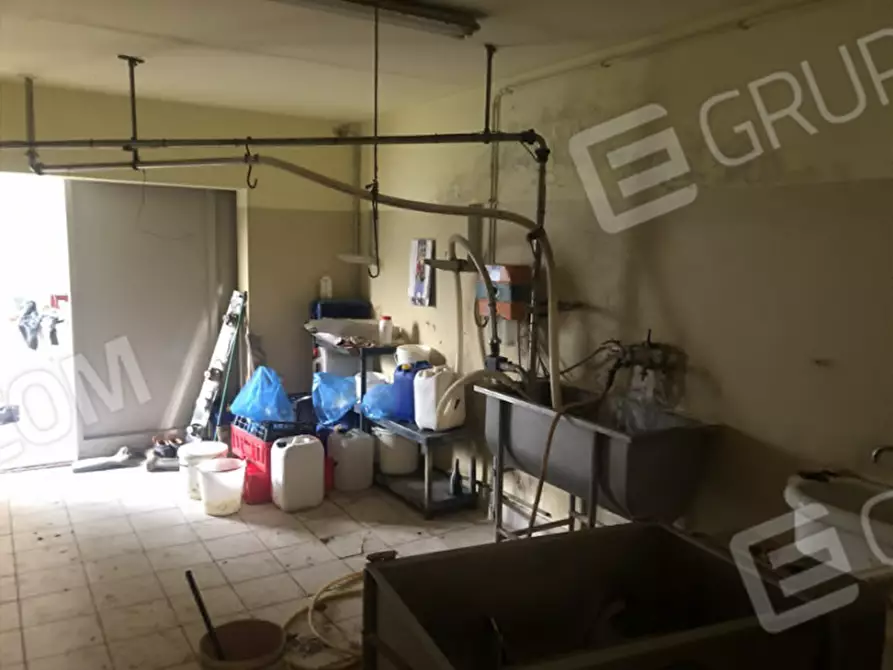 Immagine 32 di Agriturismo in vendita  in Via Barbarago 9 a Sona
