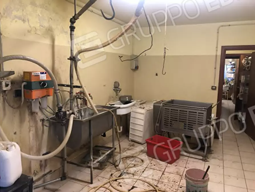 Immagine 33 di Agriturismo in vendita  in Via Barbarago 9 a Sona