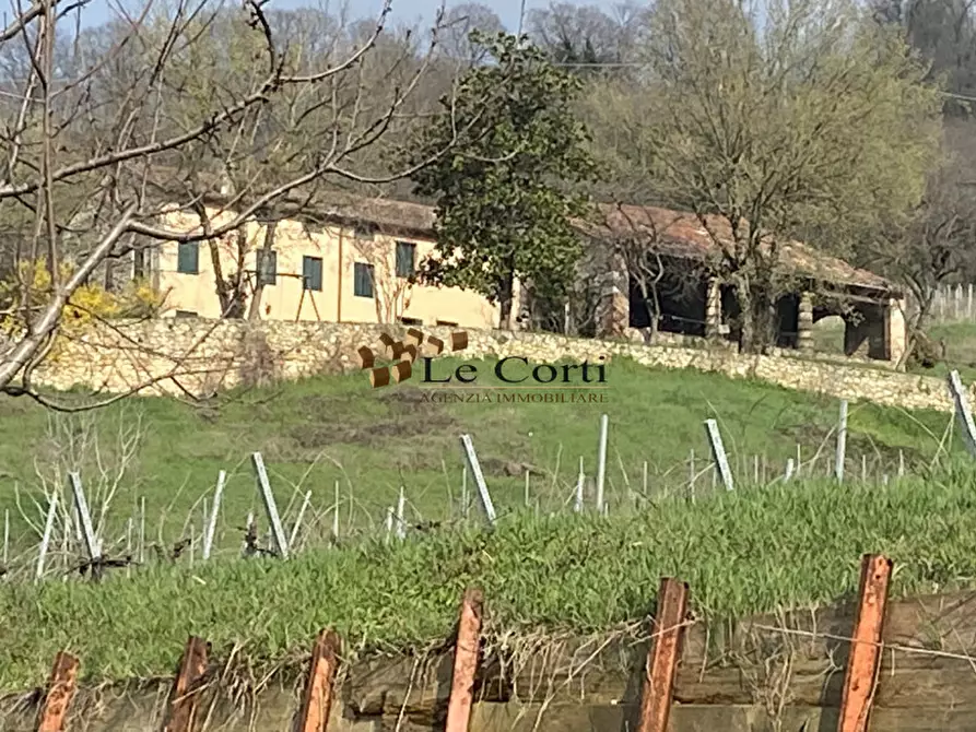 Immagine 2 di Rustico / casale in vendita  a Sarego