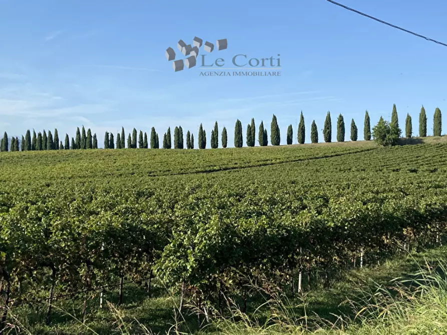 Immagine 5 di Rustico / casale in vendita  a Sarego