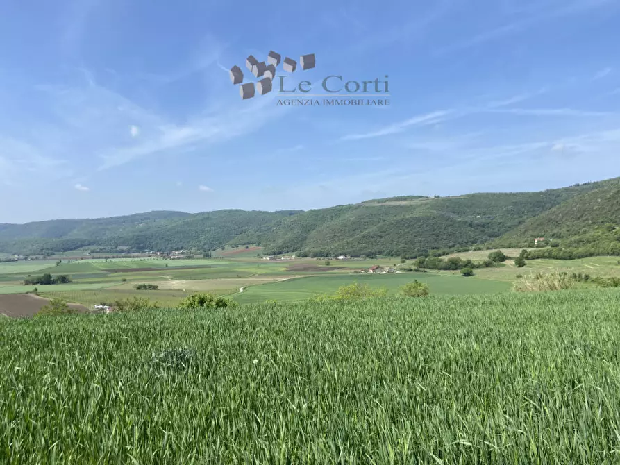 Immagine 6 di Rustico / casale in vendita  a Sarego