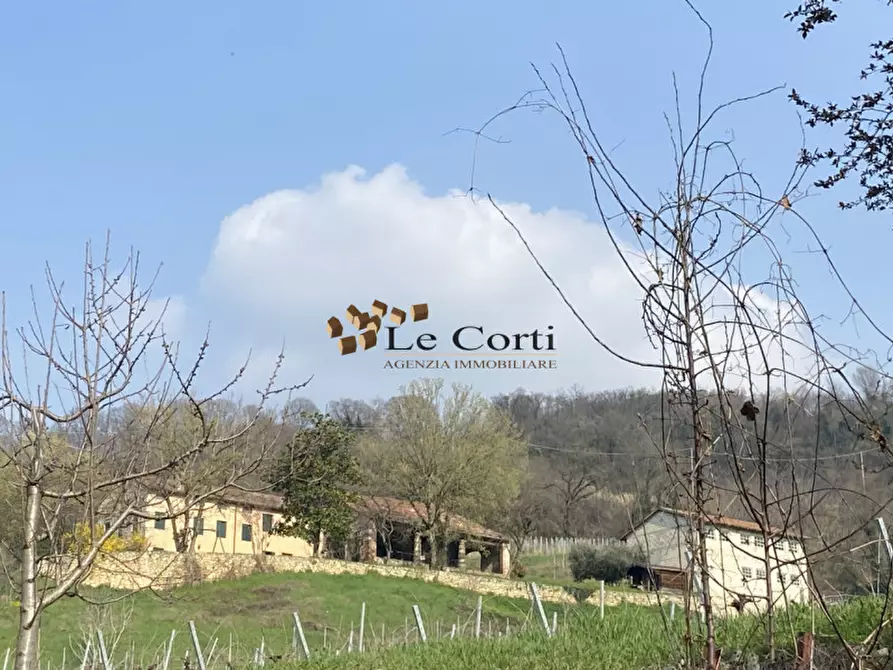 Immagine 6 di Rustico / casale in vendita  a Sarego