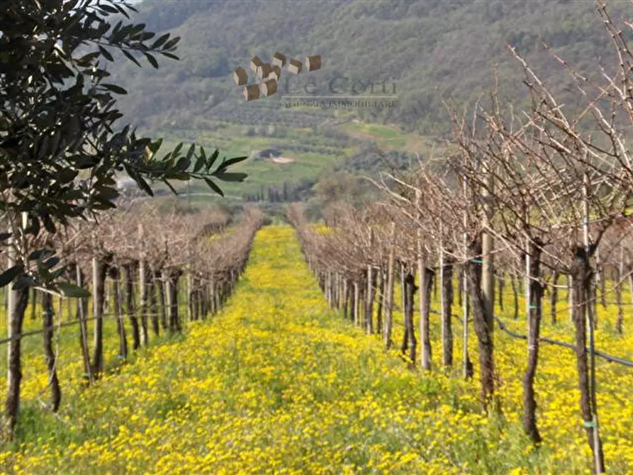 Immagine 7 di Rustico / casale in vendita  a Sarego