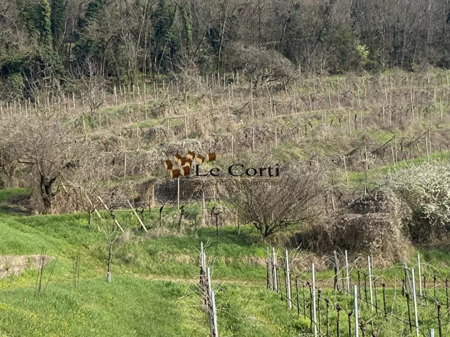 Immagine 9 di Rustico / casale in vendita  a Sarego