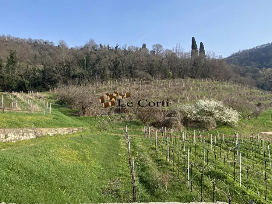 Immagine 10 di Rustico / casale in vendita  a Sarego