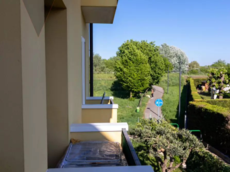 Immagine 19 di Appartamento in vendita  a Ponte San Nicolò