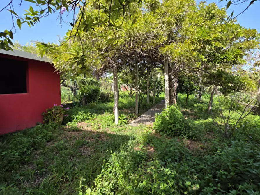 Immagine 2 di Magazzino in vendita  in Via Tenente Giacomo Picciolo a Milazzo