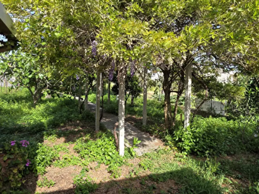 Immagine 19 di Magazzino in vendita  in Via Tenente Giacomo Picciolo a Milazzo