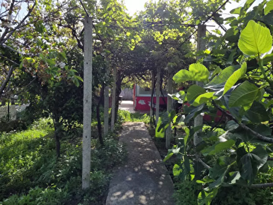 Immagine 25 di Magazzino in vendita  in Via Tenente Giacomo Picciolo a Milazzo