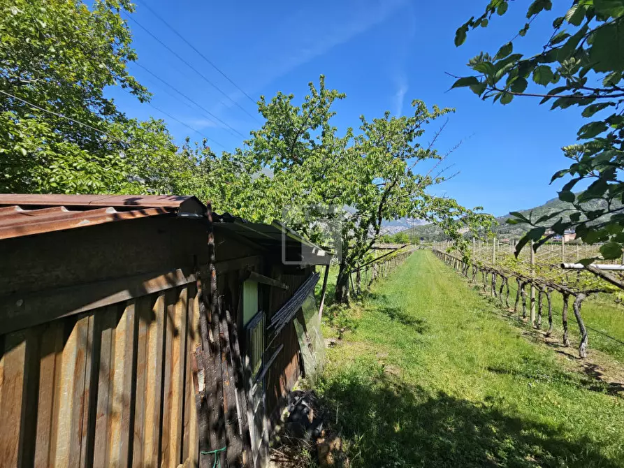 Immagine 1 di Terreno in vendita  a Arco