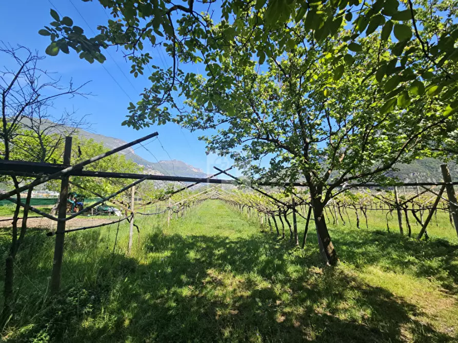 Immagine 2 di Terreno in vendita  a Arco
