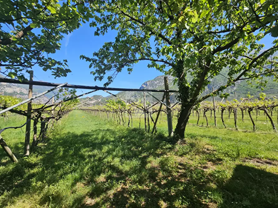 Immagine 3 di Terreno in vendita  a Arco