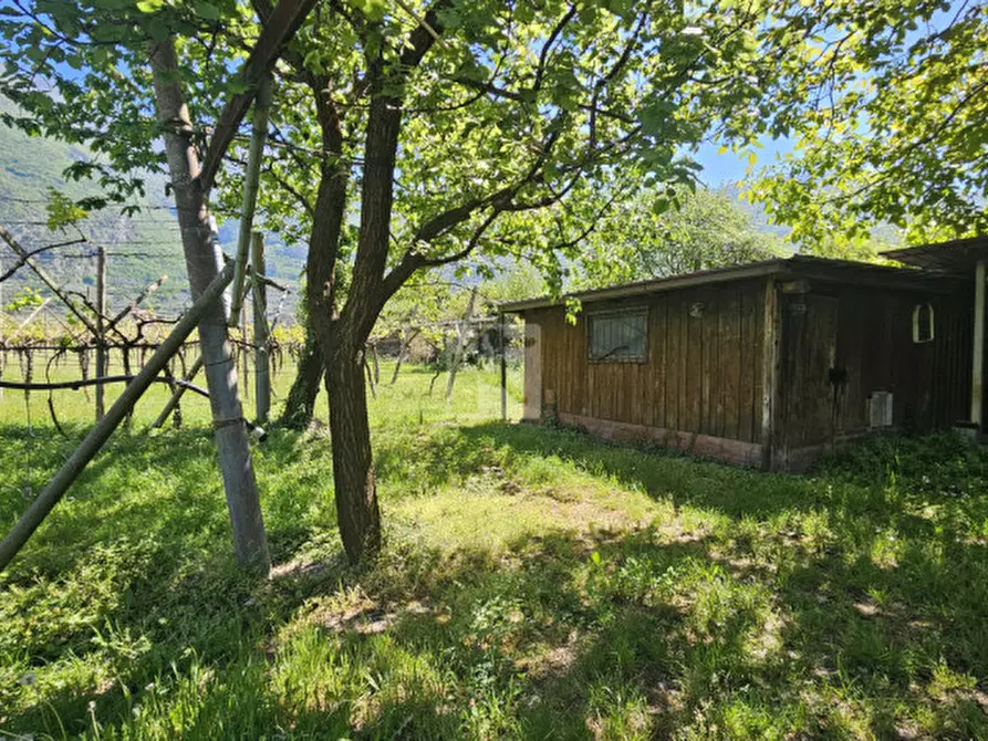 Immagine 5 di Terreno in vendita  a Arco