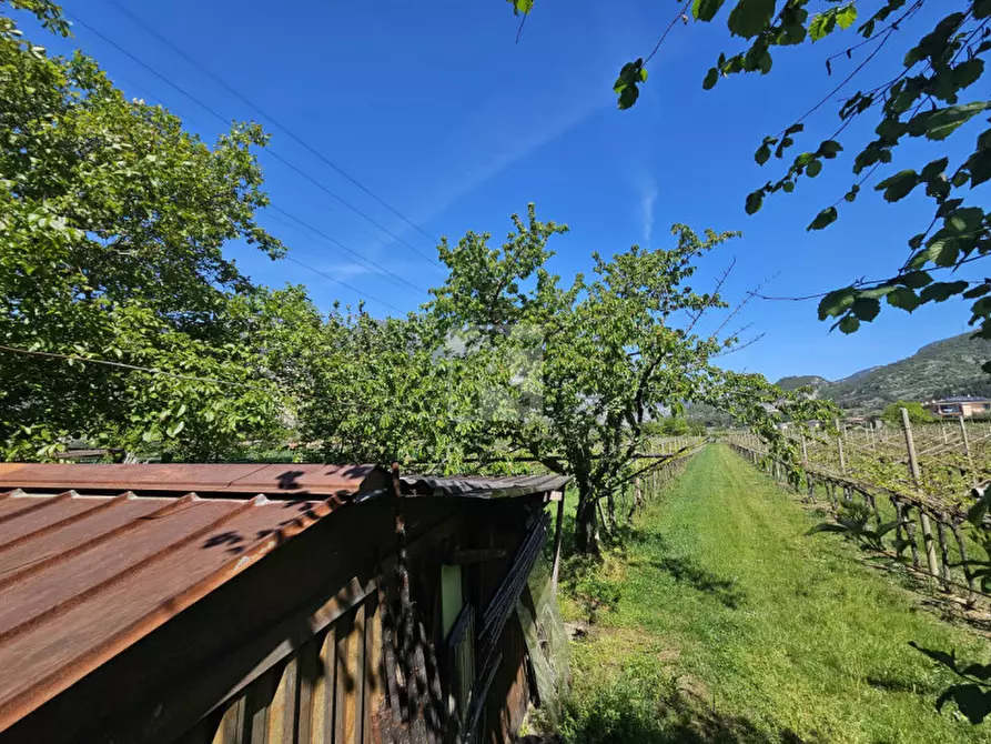 Immagine 8 di Terreno in vendita  a Arco