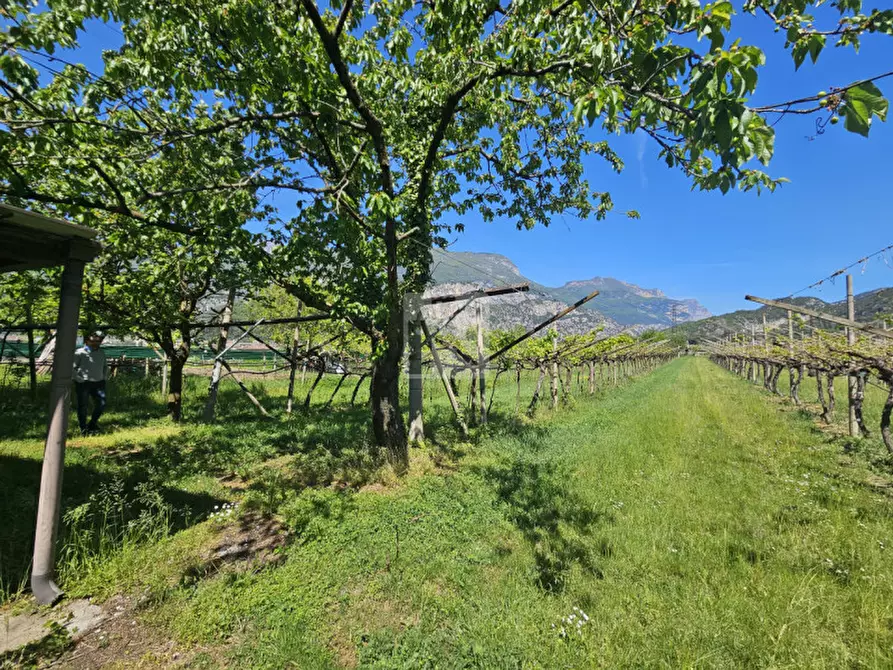 Immagine 9 di Terreno in vendita  a Arco