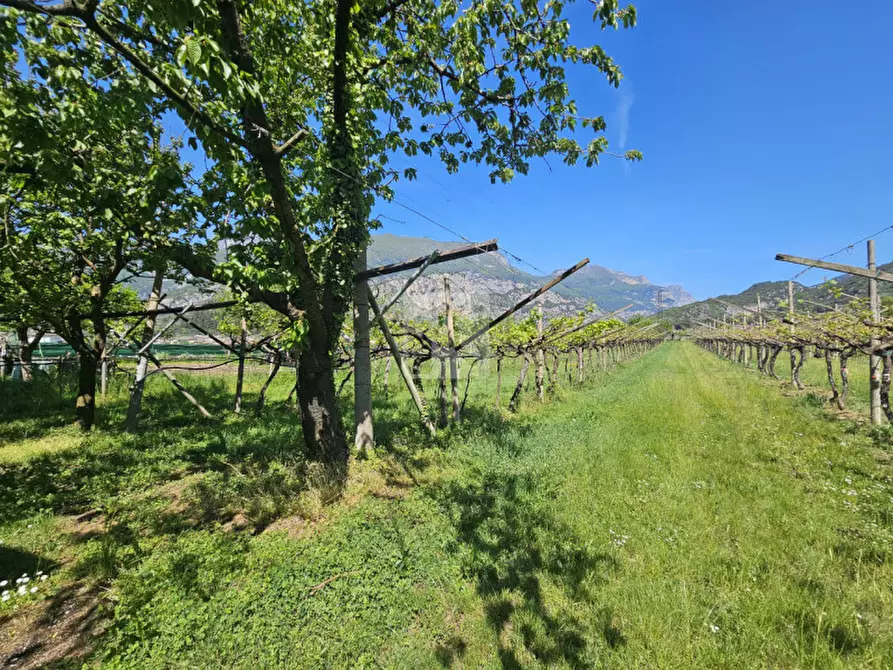 Immagine 10 di Terreno in vendita  a Arco