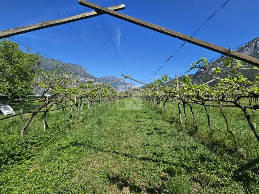 Immagine 11 di Terreno in vendita  a Arco