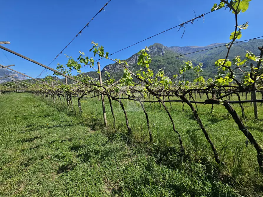 Immagine 12 di Terreno in vendita  a Arco