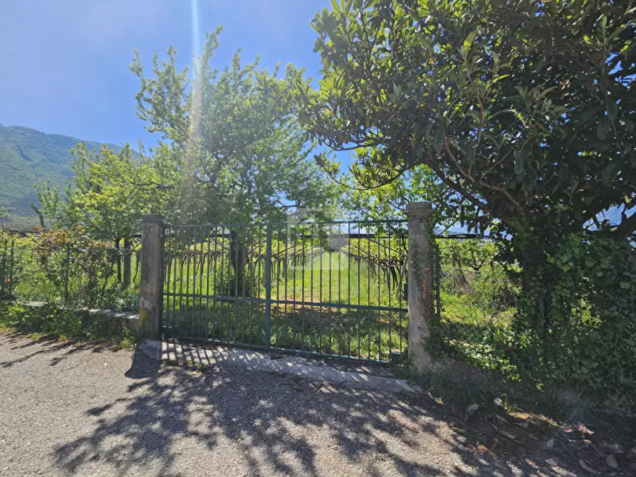 Immagine 14 di Terreno in vendita  a Arco