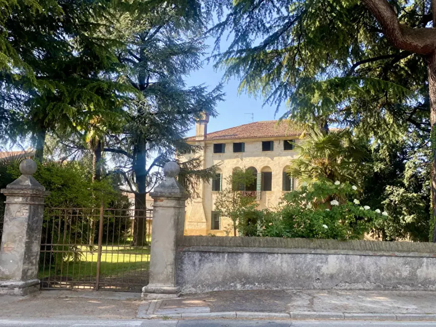 casa indipendente in vendita a Castelfranco Veneto in zona Salvarosa