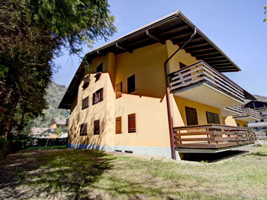 Immagine 16 di Appartamento in vendita  in Via Giacomo Matteotti, 43 a Pinzolo