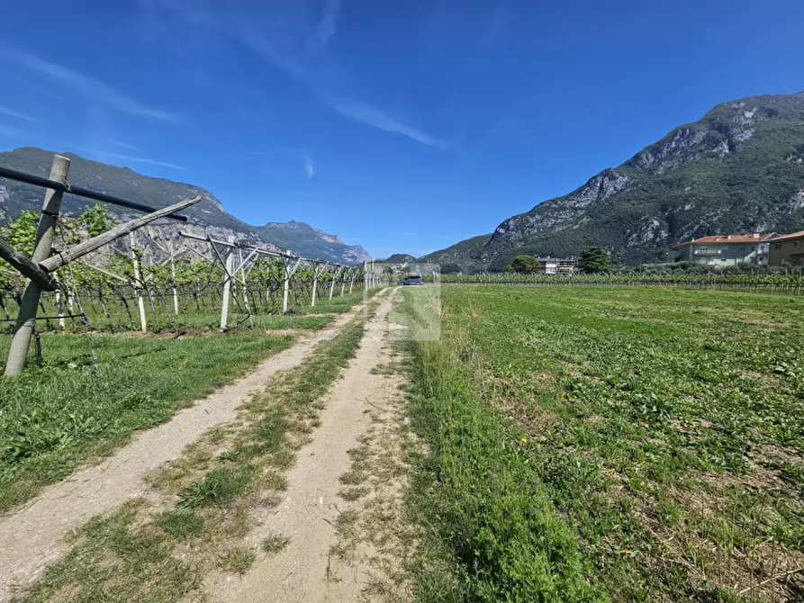 Immagine 1 di Terreno in vendita  a Arco