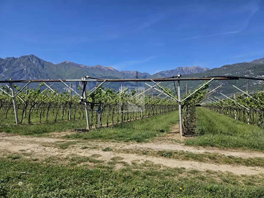 Immagine 2 di Terreno in vendita  a Arco
