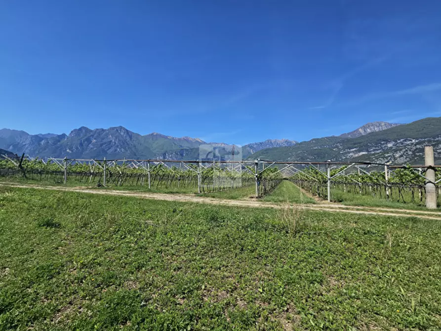 Immagine 3 di Terreno in vendita  a Arco