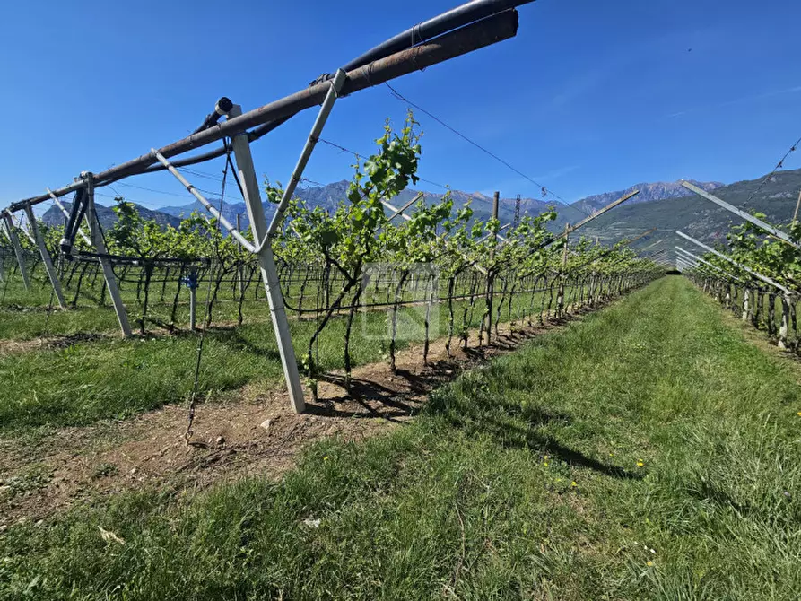 Immagine 4 di Terreno in vendita  a Arco