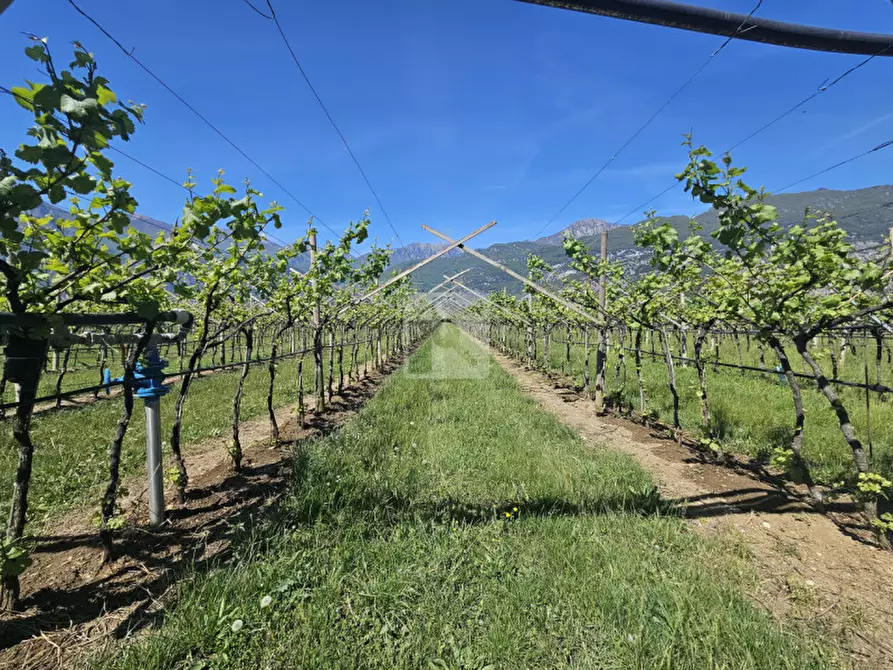 Immagine 5 di Terreno in vendita  a Arco