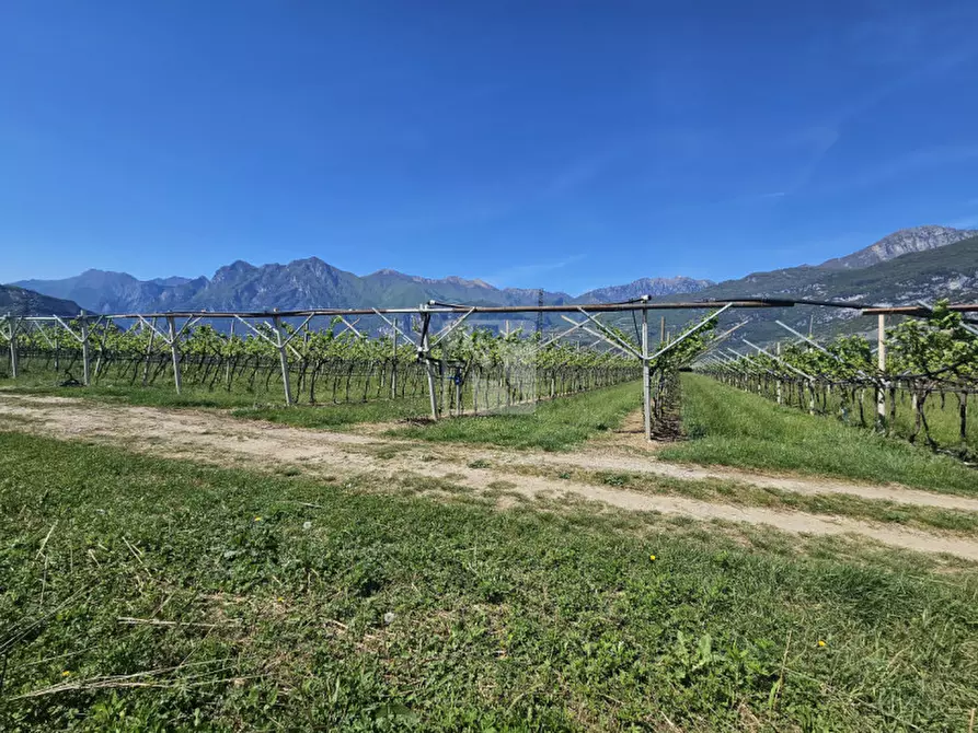 Immagine 9 di Terreno in vendita  a Arco