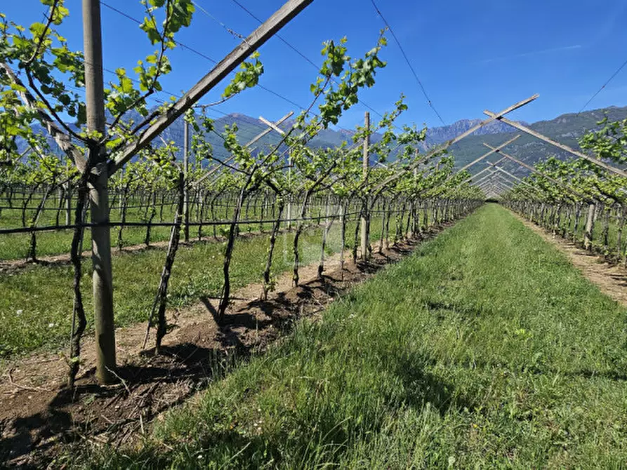 Immagine 10 di Terreno in vendita  a Arco