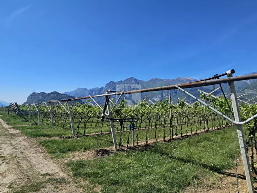 Immagine 11 di Terreno in vendita  a Arco